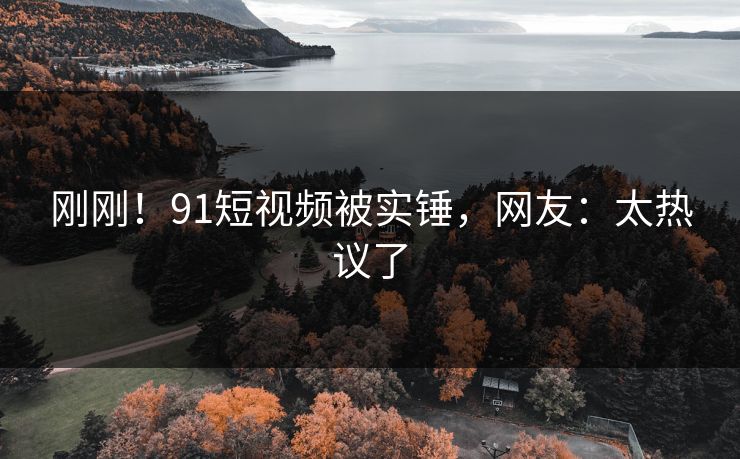 刚刚！91短视频被实锤，网友：太热议了