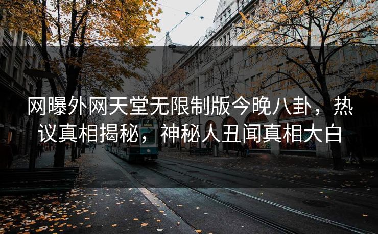 网曝外网天堂无限制版今晚八卦，热议真相揭秘，神秘人丑闻真相大白