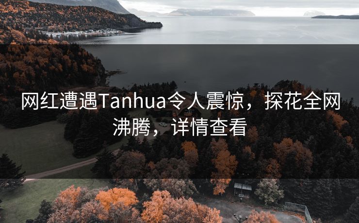 网红遭遇Tanhua令人震惊，探花全网沸腾，详情查看
