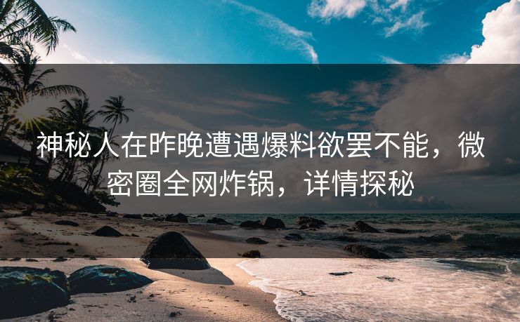 神秘人在昨晚遭遇爆料欲罢不能，微密圈全网炸锅，详情探秘