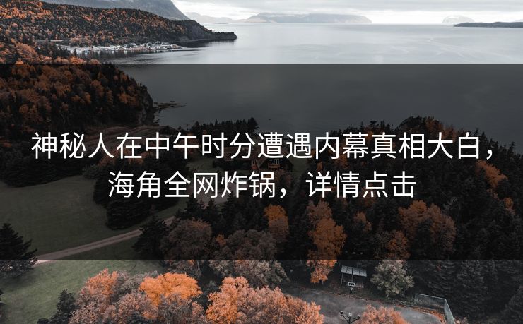 神秘人在中午时分遭遇内幕真相大白，海角全网炸锅，详情点击