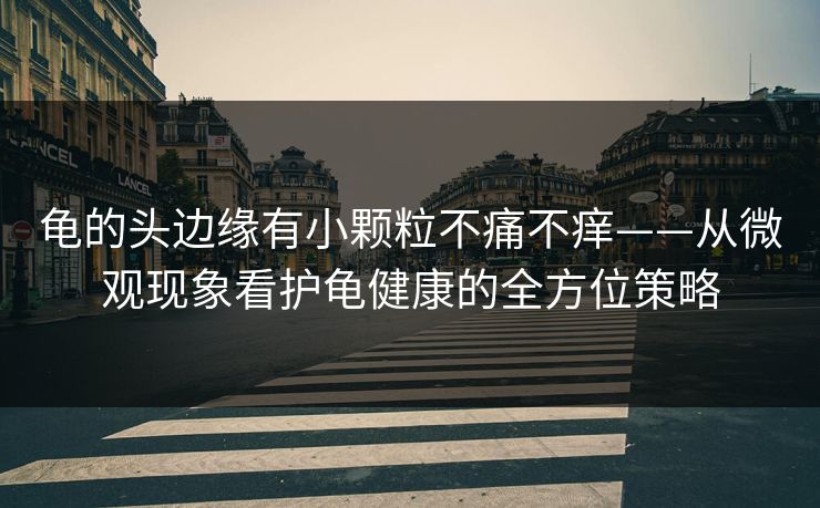 龟的头边缘有小颗粒不痛不痒——从微观现象看护龟健康的全方位策略